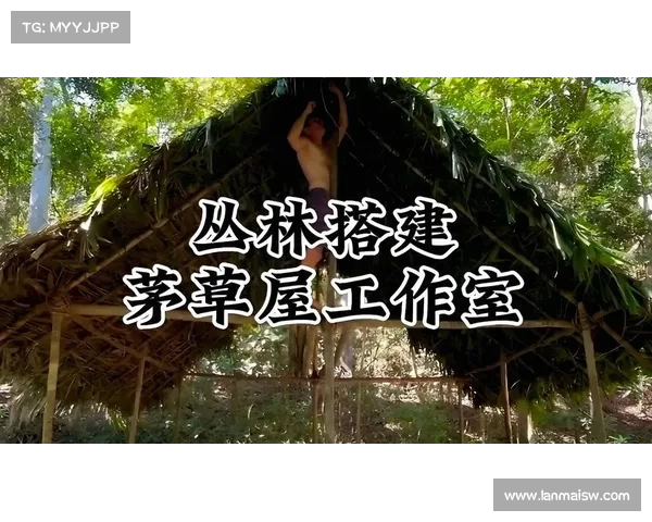 荒野求生:独闯丛林,探索单机游戏之道 荒野求生:独闯丛林,探索单机游戏之道